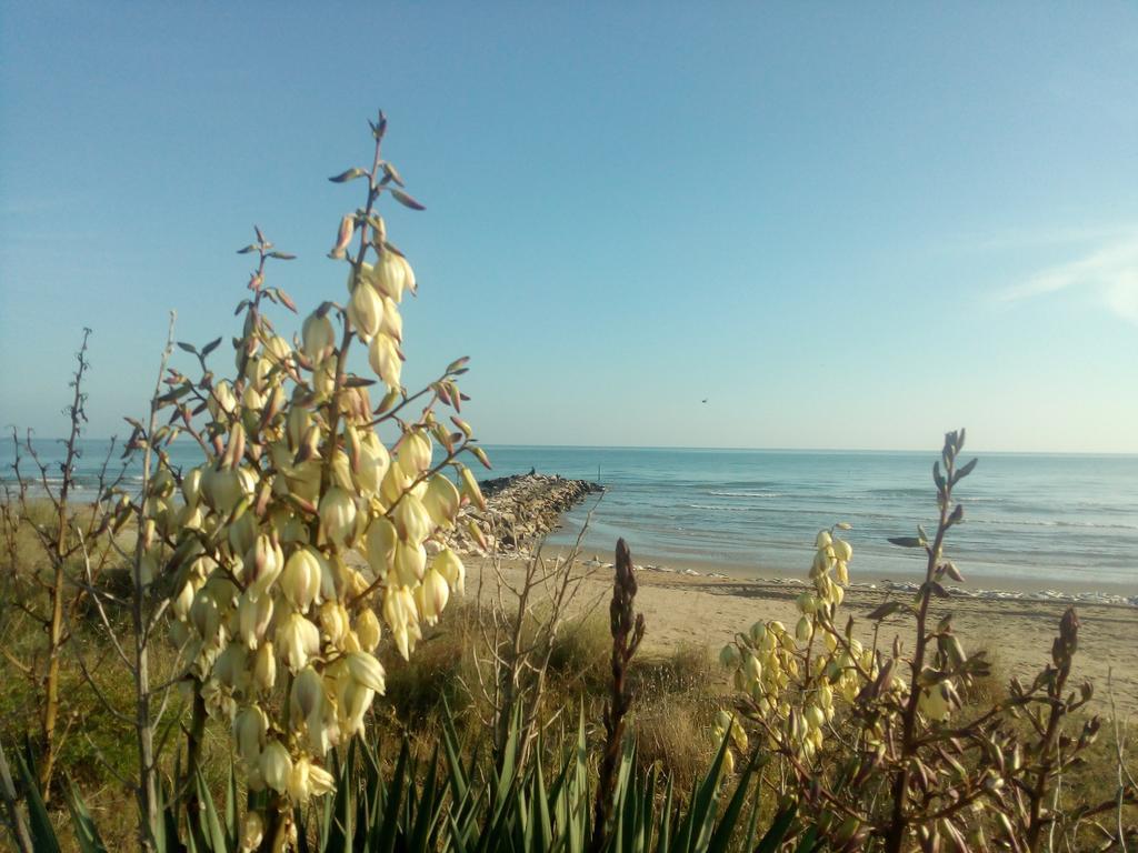 Villa Trifoglio Lido di Jesolo Kültér fotó